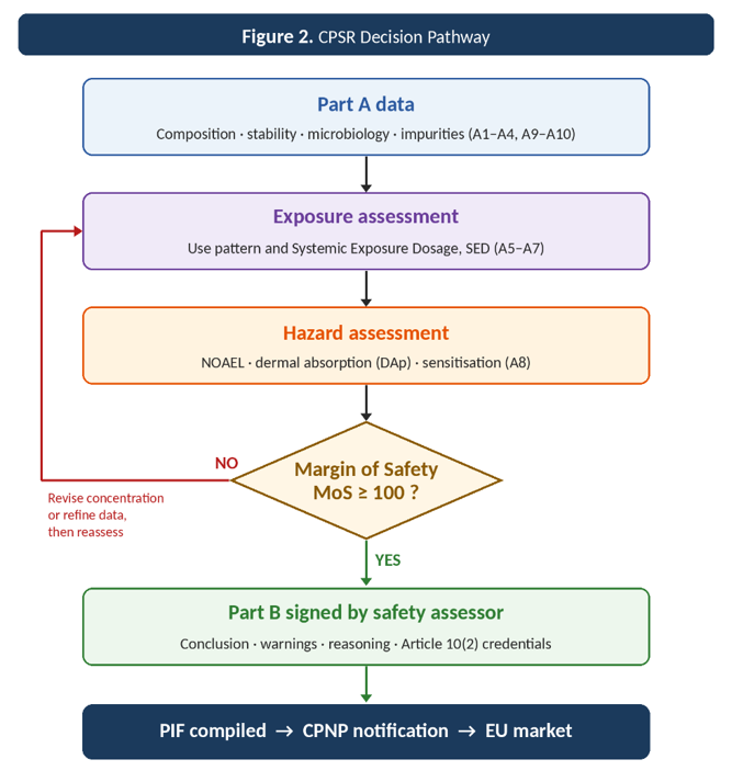 CPSR decision pathway: Part A data, then exposure assessment (SED, sections A5–A7), then hazard assessment (NOAEL, dermal absorption, sensitisation, A8). If the Margin of Safety is at least 100, Part B is signed by the safety assessor and the PIF is compiled for CPNP notification. If not, the concentration is revised or the data refined and the assessment repeated.