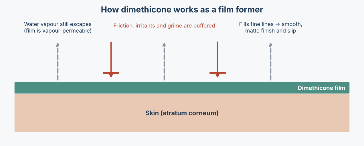 How dimethicone works as a film former on skin: a thin dimethicone film over the stratum corneum buffers friction and irritants while water vapour still escapes