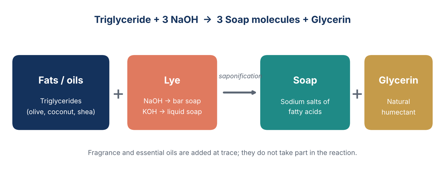 Saponification diagram: fats or oils (triglycerides such as olive, coconut and shea) plus lye (NaOH for bar soap, KOH for liquid soap) react to give soap (sodium salts of fatty acids) plus glycerin; fragrance and essential oils are added at trace and do not take part in the reaction